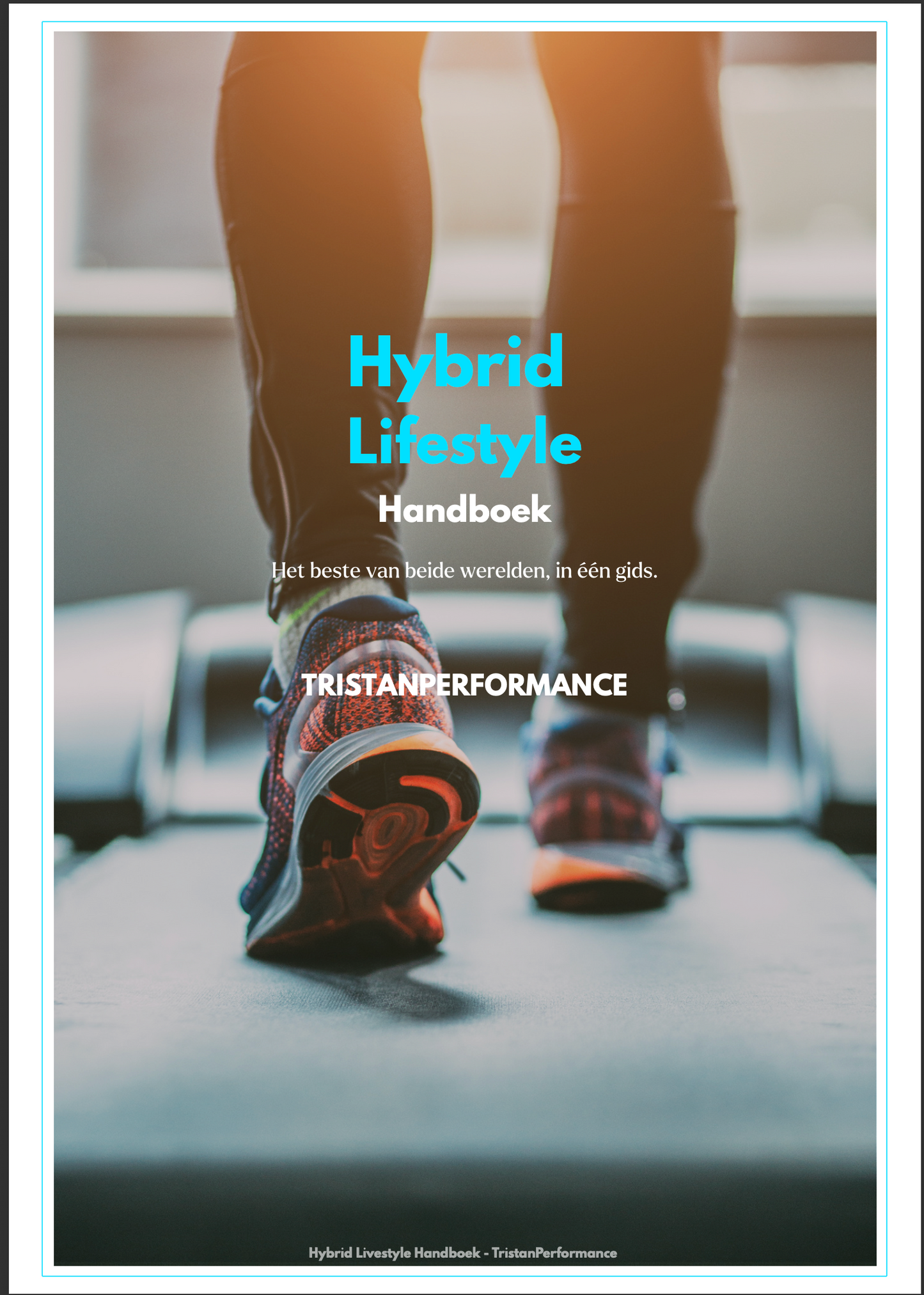 Hybrid Lifestyle Handboek