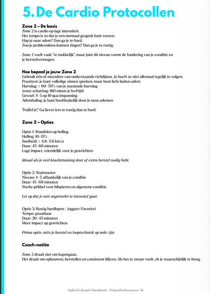 Hybrid Lifestyle Handboek